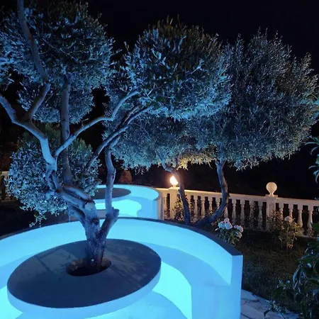 Hotel Festim Kanine